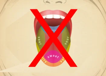 Early 20th-century diagrams helped fossilize the Tongue Map Myth.