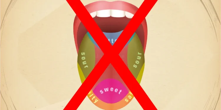 Early 20th-century diagrams helped fossilize the Tongue Map Myth.